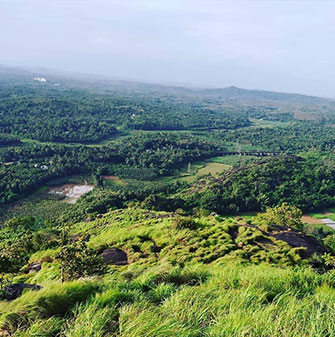 firdip image